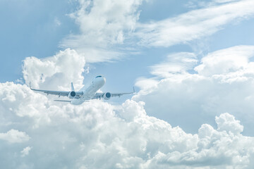 Fototapeta na wymiar Large airplane flying in clear sky