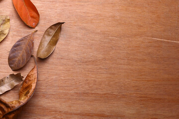 Pine and dry leaves on wooden textured background