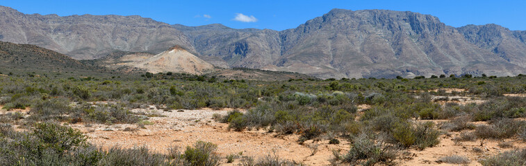 Landscape near route 62 in South Africa