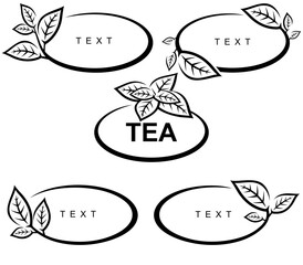 Green tea leaves set. Collection green tea leaves frame. Vector