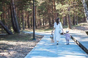 Fototapeta premium Mother and small daughter holding hands while walking together on a wooden path in the pine forrest. Back view.