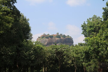 Fototapeta premium view of the castle of the hill