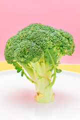 Fresh and Raw Broccoli on White Dish. Uncooked Green Cabbage. Vegan and Vegetarian Culture. Raw...