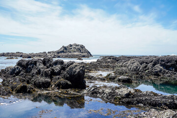 Yaquina Head Lighthouse nature area, Outstanding Natural Area, Newport, Oregon.