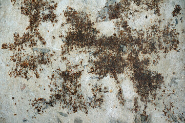 Old rusty metal with cement stains texture background