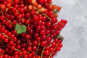 Red currant close up .Macro