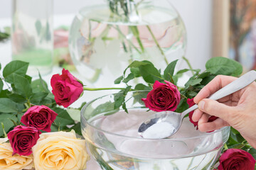 Woman is adding flower food into  water  to help flowers stay fresh looking, hand keeps spoon with...