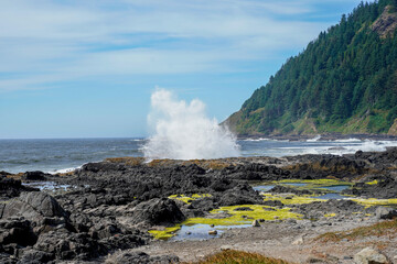 Tide pools at Cape Perpetua in Oregon, USA. Thor's Well Location.
