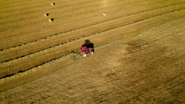 Tractor with spinning hay tedder making rows from dry straw in harvested wheat field. Hay rolls as forage feed for livestock. Work in agronomic farm for making business and production organic eco bio