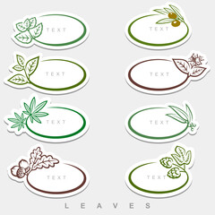 Collection leaves set. Collection  frame  leaves . Vector 