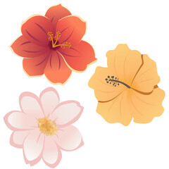 Different types of flowers isolated on white background. Vector illustration EPS10.