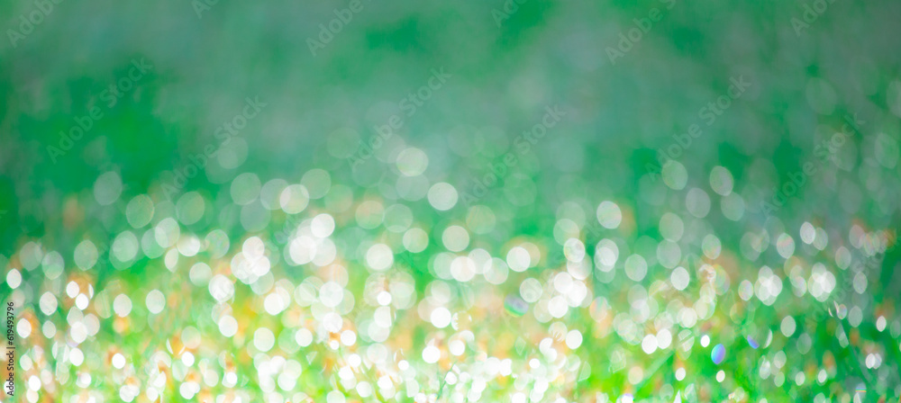 Wall mural blurred background of fresh green grass with dew drops in morning. background of environment. field 