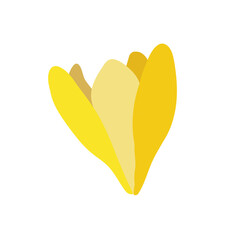 Collection of crocuses and saffrons. A set of spring purple, yellow and white crocuses. Vector illustration of beautiful multicolored flowers