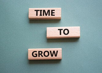 Time to Grow symbol. Concept word Time to Grow on wooden blocks. Beautiful grey green background. Business and Time to Grow concept. Copy space