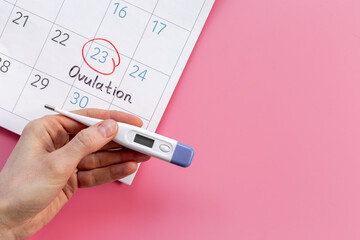 Ovulation day marked on calendar for pregnancy planning © 9dreamstudio