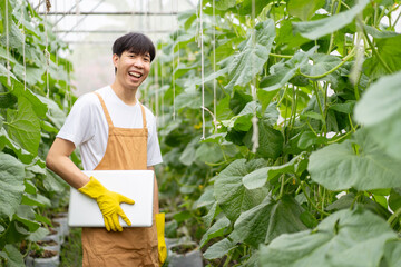 Happy cheerful Asian watermelon farm worker inspecting an agricultural product quality. Asian male...