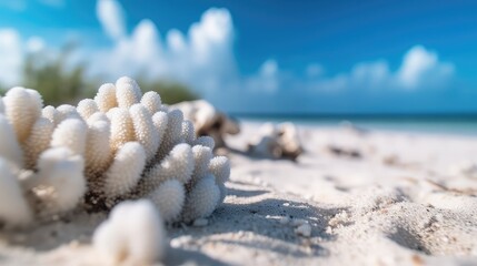 Obraz na płótnie Canvas White coral on the beach real tropical vibe background water and the sandy beach perfect golden hour relaxing sunny day at the beach ocean coastline 