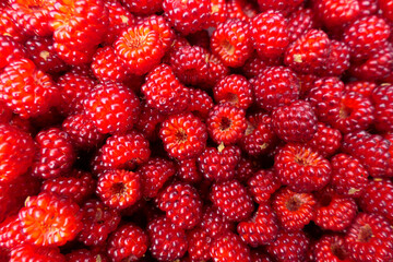 Bowl full of freshly picked Wineberries (rubus phoenicolasius) also known as the Japanese raspberry
