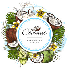 Fototapeta premium Stylized round colorfull vector hand drawn illustration of whole, slice coconuts with palm leaf, milk and flower, sketch in vintage style