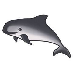 Dolphin vaquita