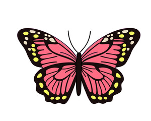 Pink butterfly isolated on white background, vector illustration
