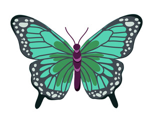 green butterfly isolated on white background, vector illustration