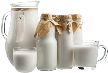 Fresh organic milk in glass and jug on rustic wooden table on nature background.