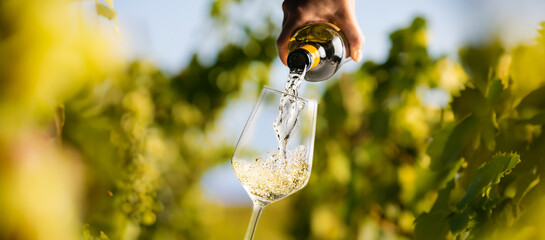 Fototapeta Wine glass with pouring white wine obraz