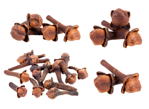 dry cloves transparent png