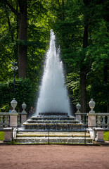 Naklejka premium fountain in the park