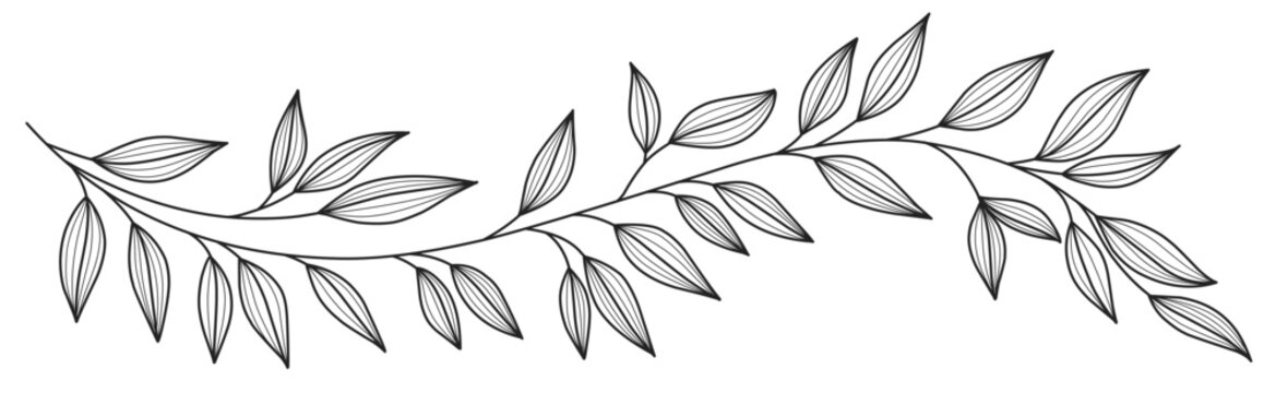 How to Draw Oak Leaves with Step by Step Drawing Lessons – How to Draw Step  by Step Drawing Tutorials | Leaf drawing, Flower drawing, Flower drawing  tutorials