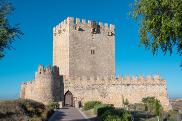 Fototapeta na wymiar Vista exterior del castillo medieval datado del siglo XI en la villa de Tiedra, región de Castilla y León, España