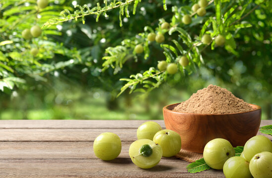 Amla (Indian gooseberry) powder with amla plant background.