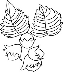 Fall autumn leaves line art. Simple botanical forest coloring page design element.