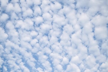 White high-altitude tropospheric cirrocumulus cloud patch in a blue sky