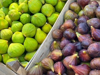 Figs fruits ripe green and purple.
