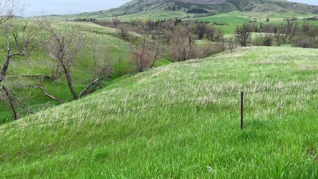 Bear Butte in Bear Butte State Park near Sturgis, South Dakota on a cloudy day.
