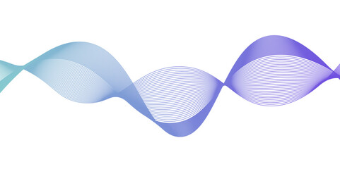 abstract lines blue gradient pink curve wave white background.Wave of the many colored lines. Abstract wavy stripes on a white background isolated. Design used for banner, template, science, business.
