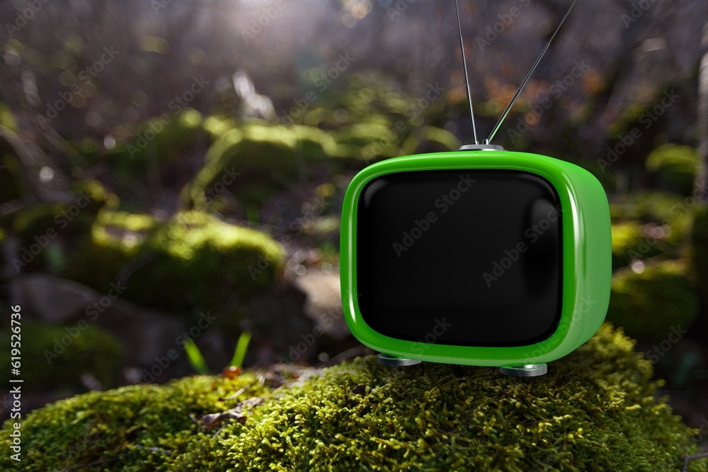 Poster Retro old-fashioned colored TV in forest