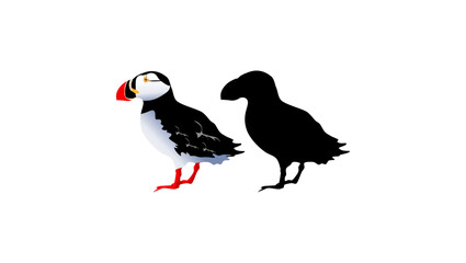 Puffin bird silhouette