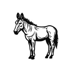 Donkey animal engraved drawing vector