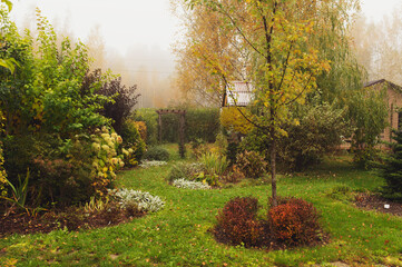 natural country garden in foggy autumn day. Bright colors and curvy lines, green lawn. Slow living.