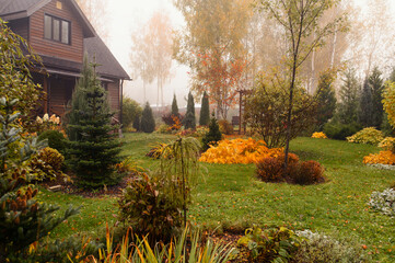 old wooden country house in autumn garden. October view with bright colours and natural style. Slow living.
