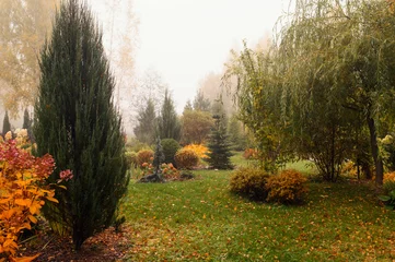 Foto auf Acrylglas natural country garden in foggy autumn day. Bright colors and curvy lines, green lawn. Slow living. © mashiki