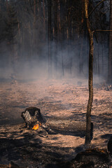 Durch einen verheerenden Waldbrand ist der Waldboden völlig verbrannt. Rauch steigt auf, einzelne Äste stehen noch in Flammen...25.07.22