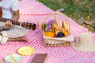 Picnic Lunch Meal Outdoors Park with food picnic basket. enjoying picnic time in park nature outdoor