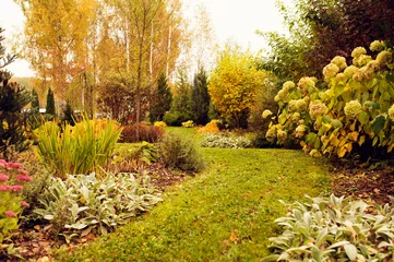 Foto op Canvas beautiful autumn garden view with curvy lawn pathway. Private natural country garden in october © mashiki