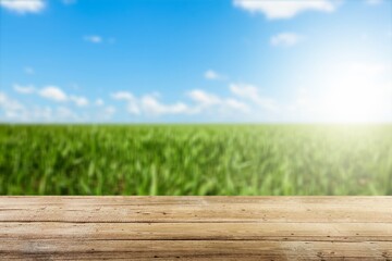 Wooden empty table top on green field background