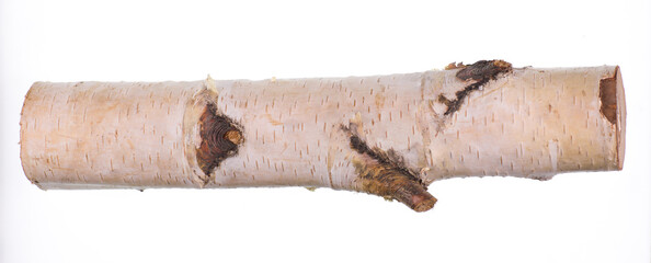 birch log with white bark and knots isolated on white background