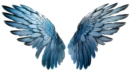 Obraz premium blue angel wings ornament isolated on transparent background ,generative ai